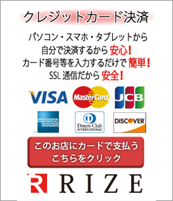 RIZE決済サービス